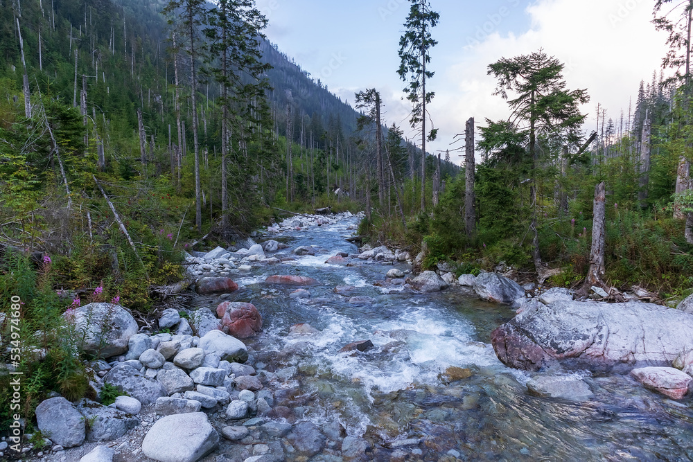 A small river in the Polish mountains with many gray stones and many green trees