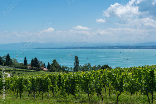 Aussicht auf den Bodensee