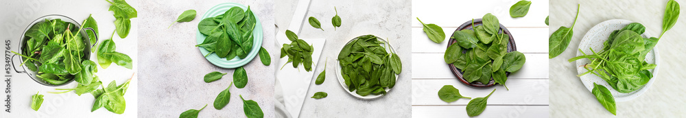 Collage with many fresh spinach on light background, top view Collage with many fresh spinach on light background, top view