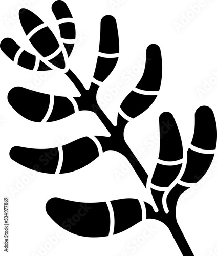 erythrina icon