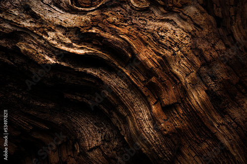 Fototapeta Naklejka Na Ścianę i Meble -  old wood texture macro detail close-up 