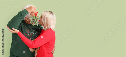 Mature couple with mistleto...