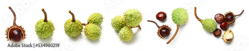 Foto Set of fresh chestnuts isolated on white