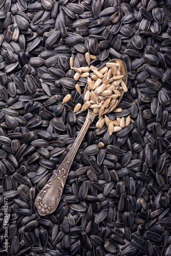 Sunflower seeds as snack, ingredient for oil and for healthy meal
