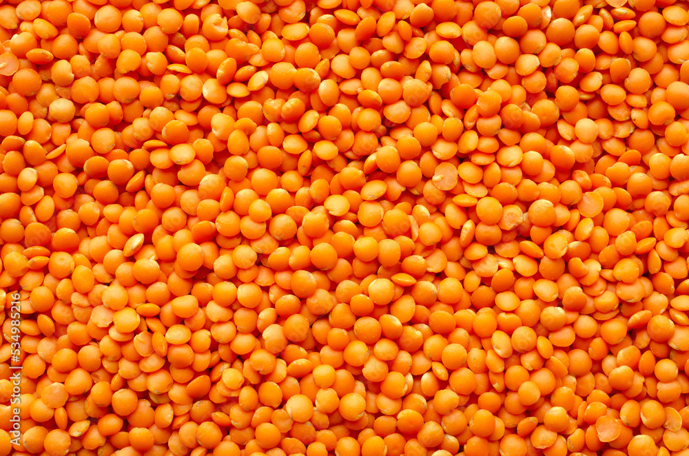 Red lentil grains background, texture, top view. Dry grains of red lentils, background, top view. Orange lentils, background. Bunch of orange lentils, texture, top view. Red lentil grains background, texture, top view. Dry grains of red lentils, background, top view. Orange lentils, background. Bunch of orange lentils, texture, top view.