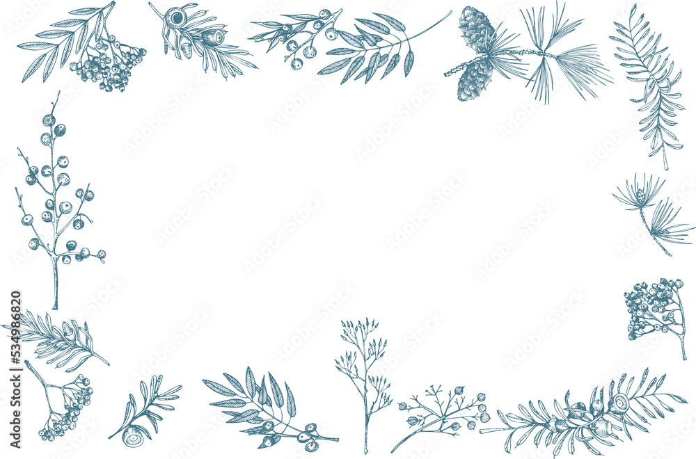 Hand-drawn sketch christmas plants frame with pine cones, berries, branches, leaves in engraving style. Vintage herbal border. Xmas retro decor Wedding graphic Hello, winter. PNG illustrations Hand-drawn sketch christmas plants frame with pine cones, berries, branches, leaves in engraving style. Vintage herbal border. Xmas retro decor Wedding graphic Hello, winter. PNG illustrations