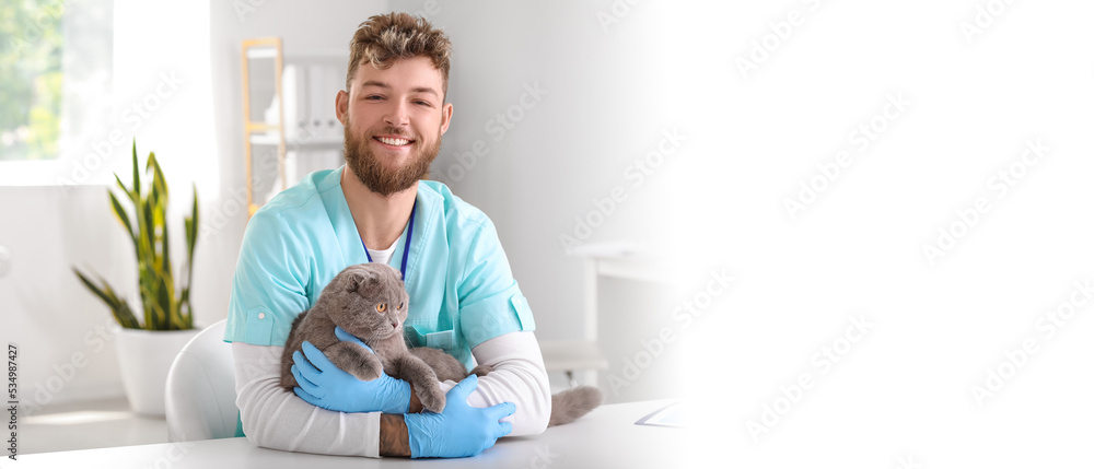 Male veterinarian with Scottish fold cat in clinic. Banner for design
