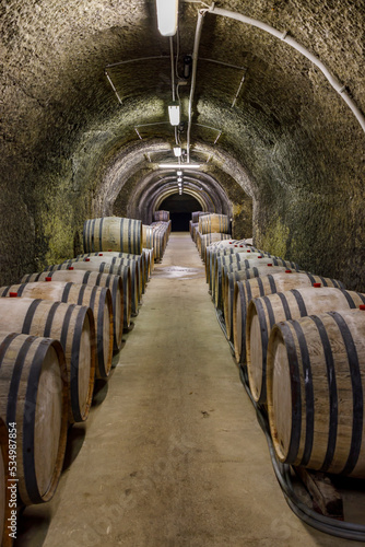 Wine cellars with barrels, traditional wine called Bikaver near Eger, Hungary photo