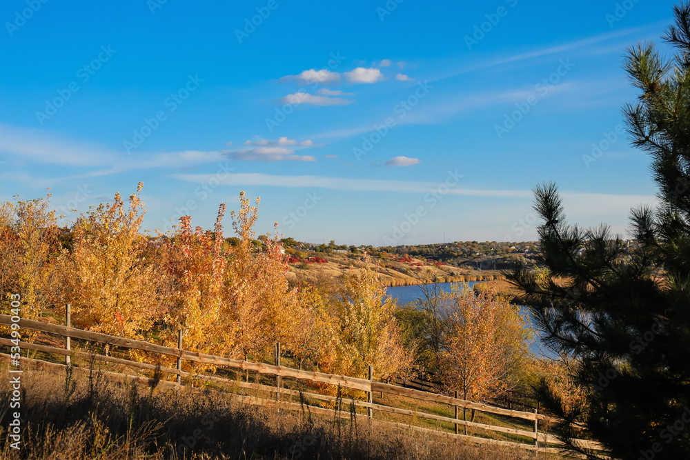 Beautiful autumn landscape with trees and river on sunny day