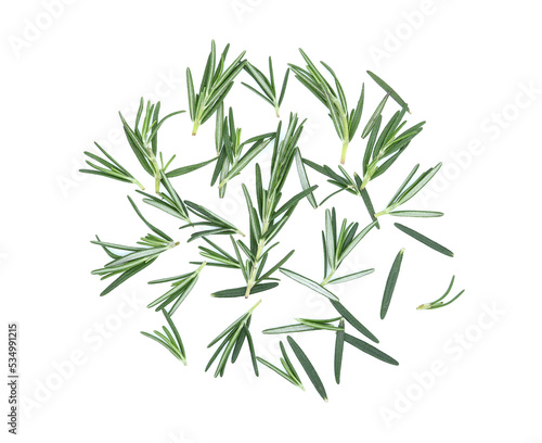rosemary isolated on white background.top view
