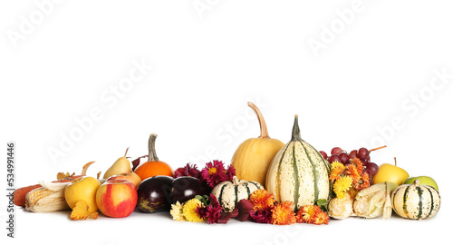 Fototapeta Naklejka Na Ścianę i Meble -  Composition with fresh vegetables, fruits and chrysanthemum flowers on white background. Harvest festival