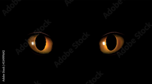 Vector shiny orange cat eyes glowing in the dark