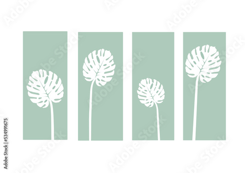 Set of Monstera plant design on frame background