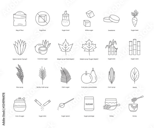 Products and plants from which sugar is made A set of line icons in vector includes images such as beets and agave, cane and stevia, corn and rice, sugar cubes and fruit, syrup red maple.