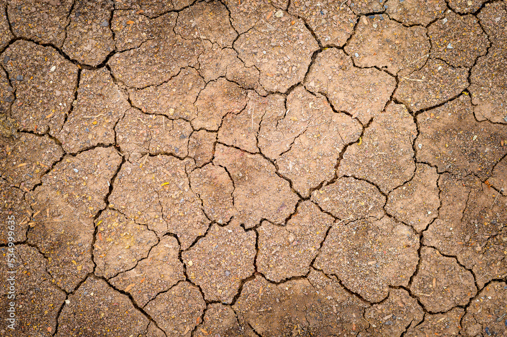 Background of texture cracked dry soil , concept of Ecology and climate change. Background of texture cracked dry soil , concept of Ecology and climate change.