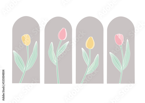 Tulips flower illustration design on frame wallpaper