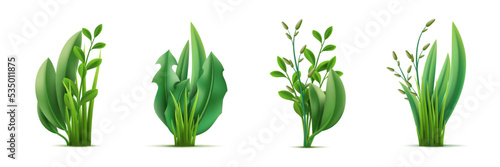 Realistic green grass bouquets. Fresh greenery compositions, garden herbs and leaves combinations, meadows natural mixing plants, organic gardening 3d isolated decor objects utter vector set