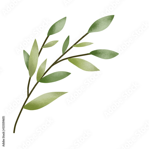 Watercolor green leaf branches or floral illustration for wedding stationery, greetings, background ornament © Ymz_Design