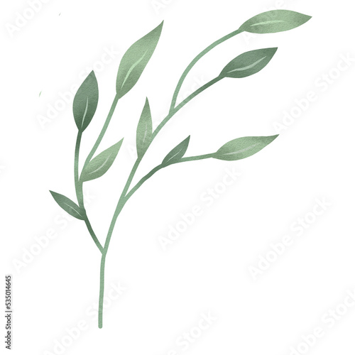 Watercolor green leaf branches or floral illustration for wedding stationery, greetings, background ornament © Ymz_Design