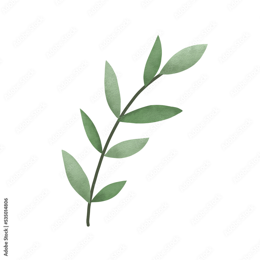 Fototapeta premium Watercolor green leaf branches or floral illustration for wedding stationery, greetings, background ornament