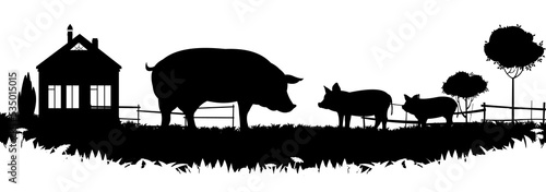 Pigs graze in pasture. Picture silhouette. Farm pets. Rural landscape with farmer house. Animals for meat and fat. Isolated on white background. Vector