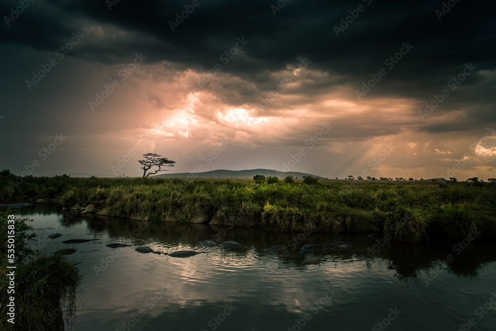 Dramatic cloud with rain over the landscape of the Serengeti, Tanzania