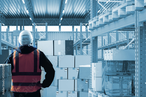 Warehouse Logistics. Man wa...