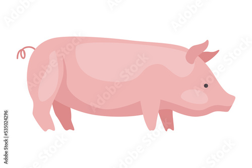 Meat factory raw production. Pig. Food industry concept element. Industrial to produce food for sale