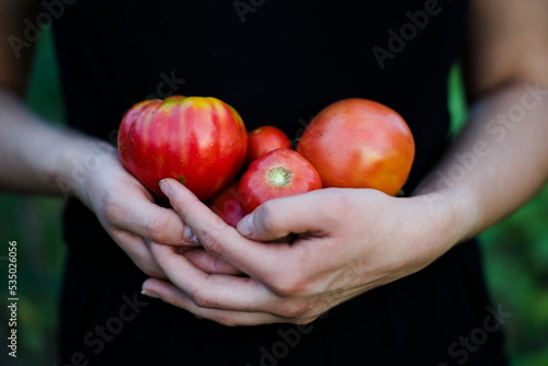 Młode pomidory w ramionach