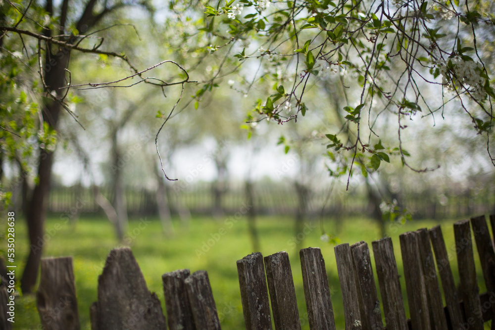 rustic wooden fence around a blooming garden in spring rustic wooden fence around a blooming garden in spring