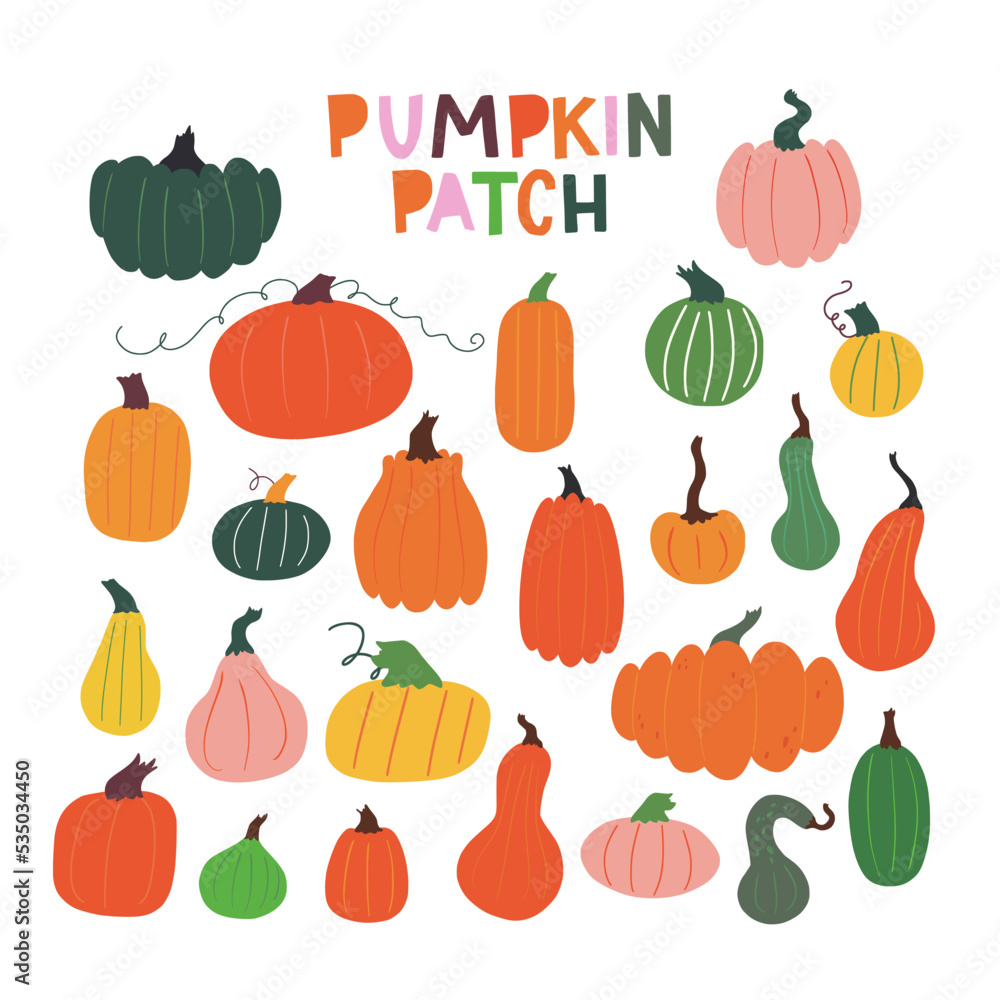 Set of different varieties of pumpkins. Hand drawn clipart for pumpkin patch illustration. Big collection of colorful cute squashes for farmers market banners and thanksgiving day backgrounds