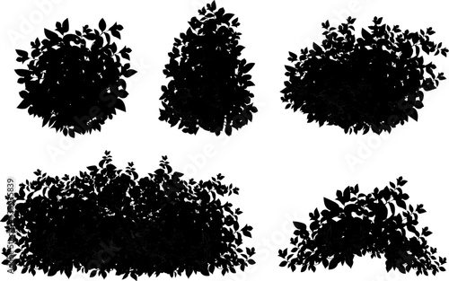 Set of ornamental black plant in the form of a hedge.Realistic garden shrub  seasonal bush  boxwood  tree crown bush foliage.For decorate of a park  a garden or a fence.
