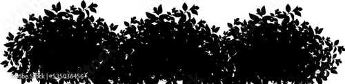 Set of ornamental black plant in the form of a hedge.Realistic garden shrub, seasonal bush, boxwood, tree crown bush foliage.For decorate of a park, a garden or a fence.