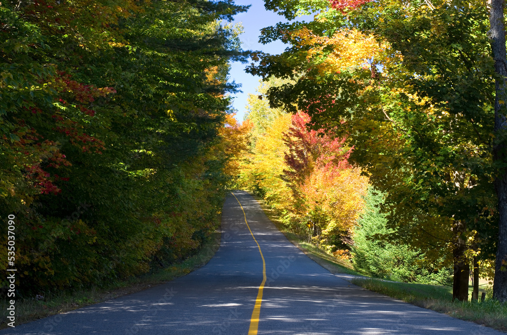 Country Road with Fall Foliage in Full Colors