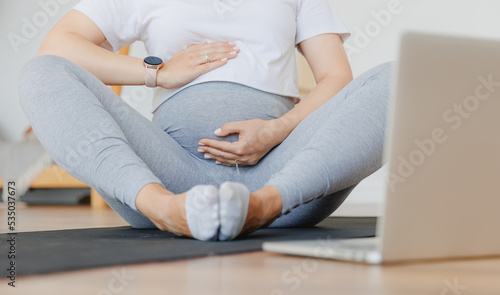 Concept banner expectant woman mother doing prenatal video online training on computer