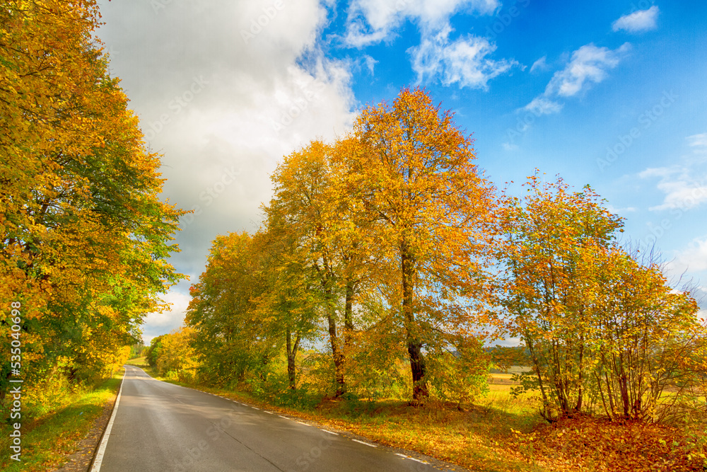 Naklejka premium Landscape autumn road with colourful trees, autumn Poland, Europe and amazing blue sky with clouds, sunny day