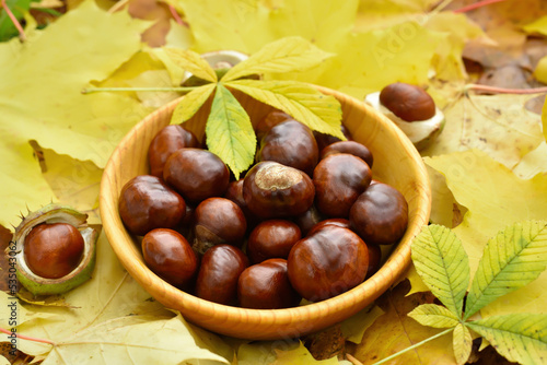Chestnuts in bowl
