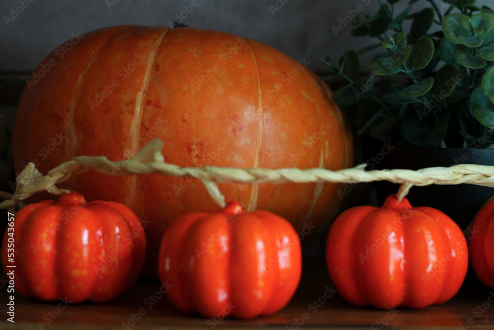 Pumpkin on a wooden table, a set of vegetables of the gourd family on an old wooden surface, orange pumpkin.