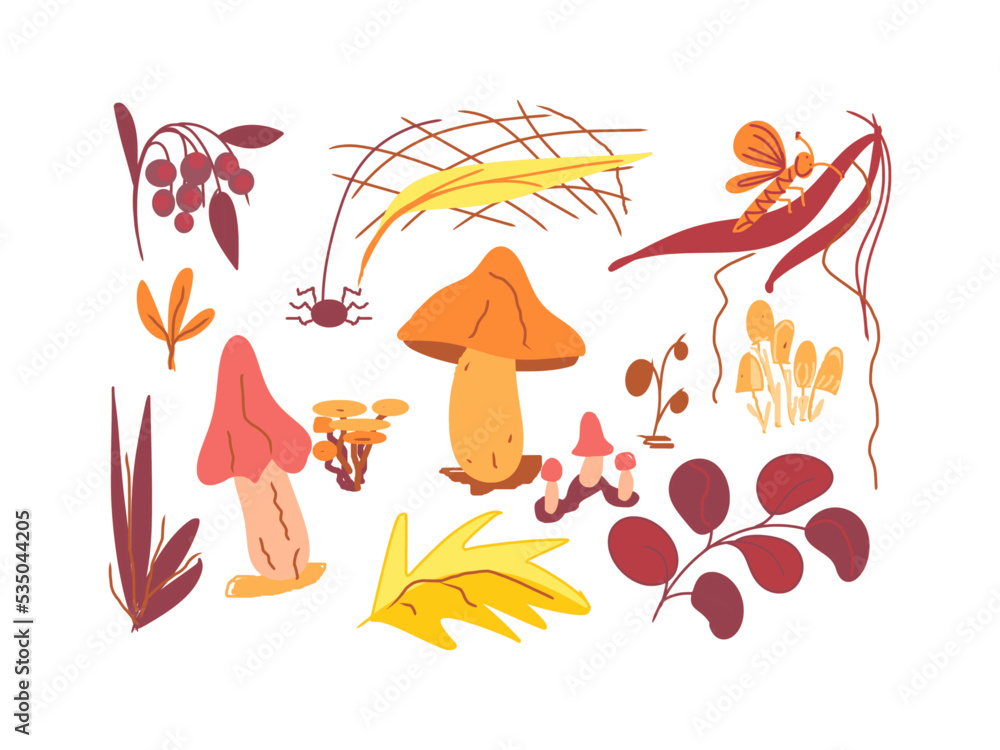 Autumn, a set of objects of nature, a colored drawing by hand, on a transparent background, for design and print Autumn, a set of objects of nature, a colored drawing by hand, on a transparent background, for design and print