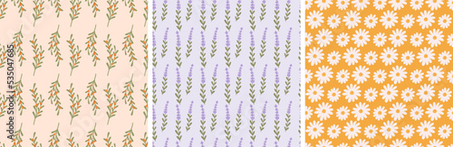 Mono flowers seamless patterns. Lavender chamomile and sea buckthorn branch. Cozy romantic trendy fabric prints. Wild meadow flowers vector background