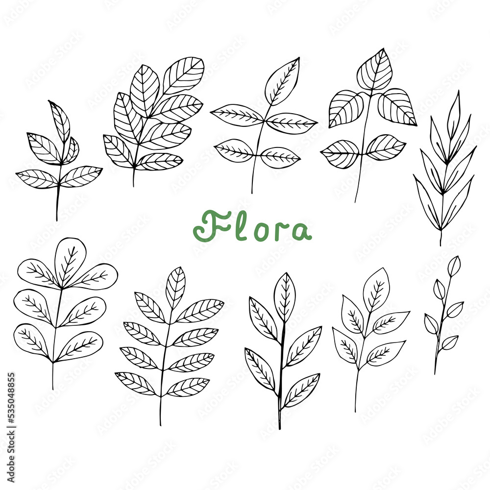 Set of twigs vector illustration, hand drawing doodles