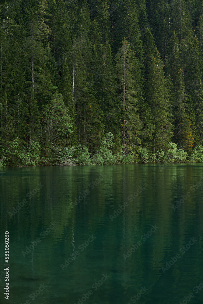 reflection of trees in the lake in the forest in montenegro reflection of trees in the lake in the forest in montenegro