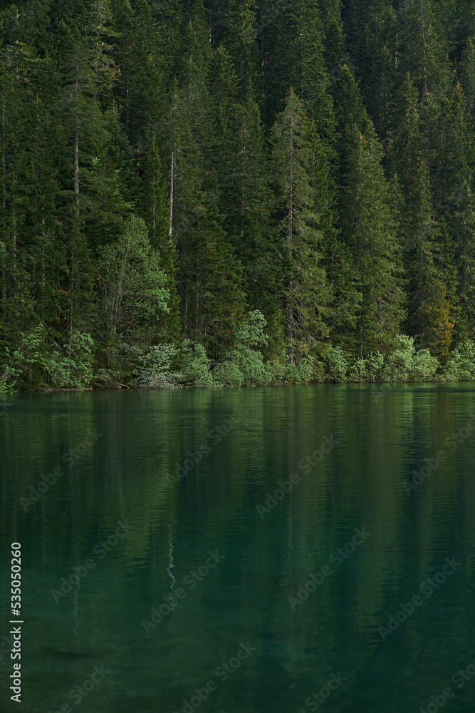 reflection of trees in the lake in the forest in montenegro