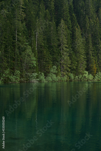 reflection of trees in the lake in the forest in montenegro