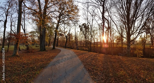 Photography Idyllic panoramic view: Garden park area in sunset in autumn
