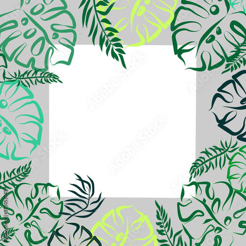 gray-green mask from contour exotic leaves on a transparent background, isolated element, decor © Yuliia