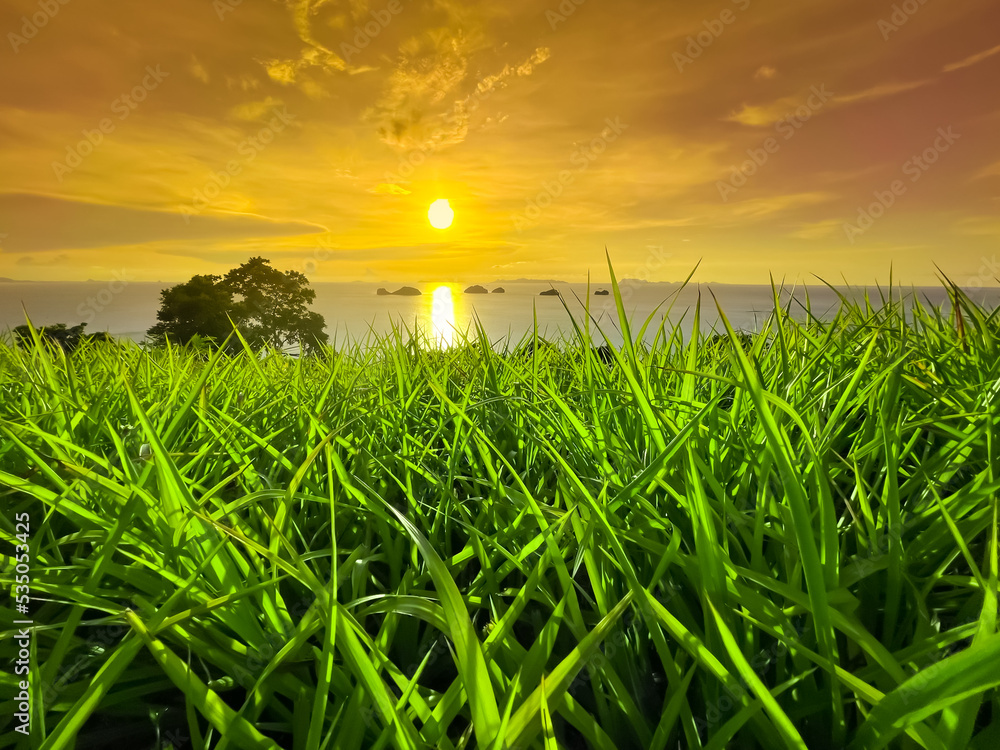 Vibrant orange sunset sea and bright green grass background. Vibrant yellow color sky. Amazing natural summer scenery. Beautiful nature landscape.