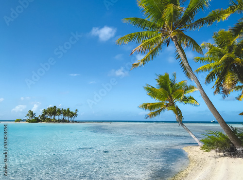 Fototapeta Naklejka Na Ścianę i Meble -  Seychelles tropical island beach with palm trees, sand beach and turquoise ocean water. Stunning natural background. Luxury travel destination idyllic nature scenery. Popular touristic destination