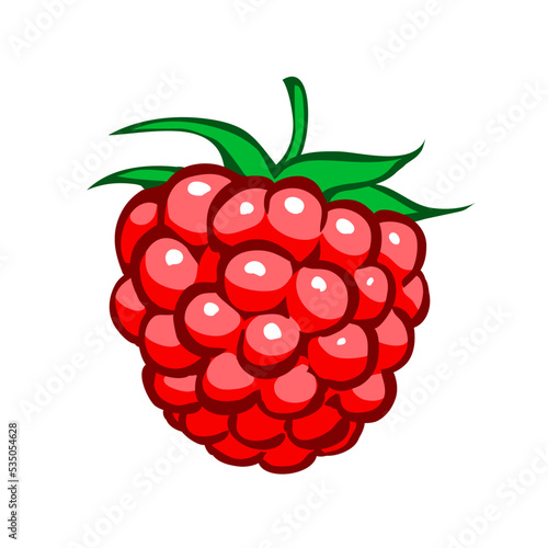 One red raspberry. Close up. Delicious natural dessert. Sweet ingredient for cooking. Cartoon vector art illustration isolated on white background. Hand drawn line style