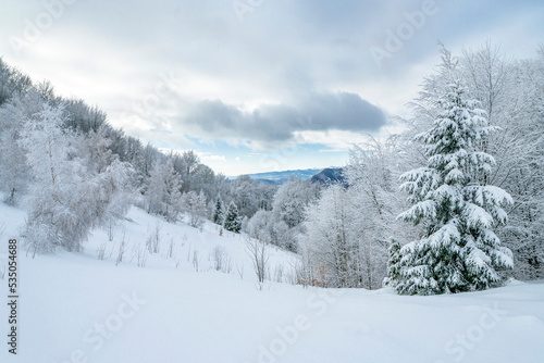 Winter mountains landscape of Carpathians hill and christmas tree snow covered